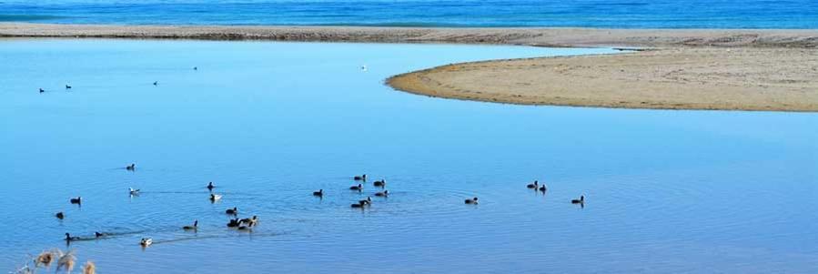 Verano Azul Rom bilde